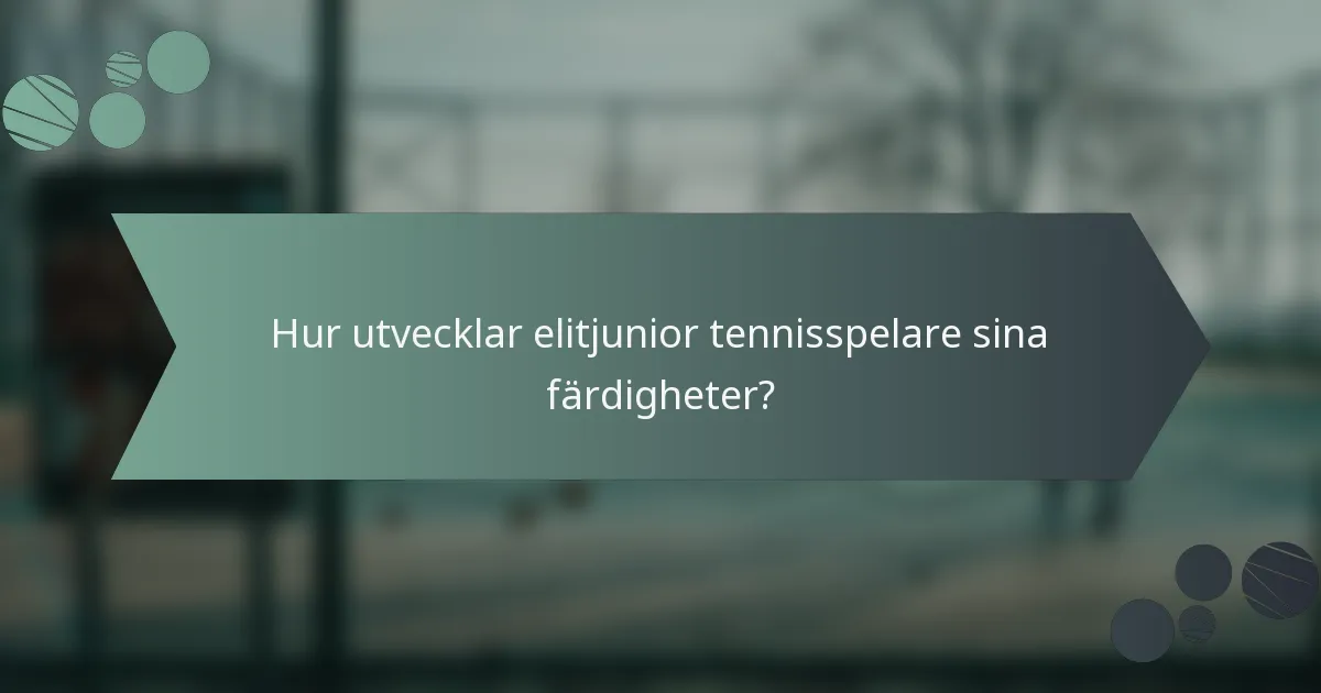 Hur utvecklar elitjunior tennisspelare sina färdigheter?
