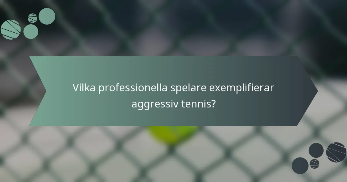Vilka professionella spelare exemplifierar aggressiv tennis?
