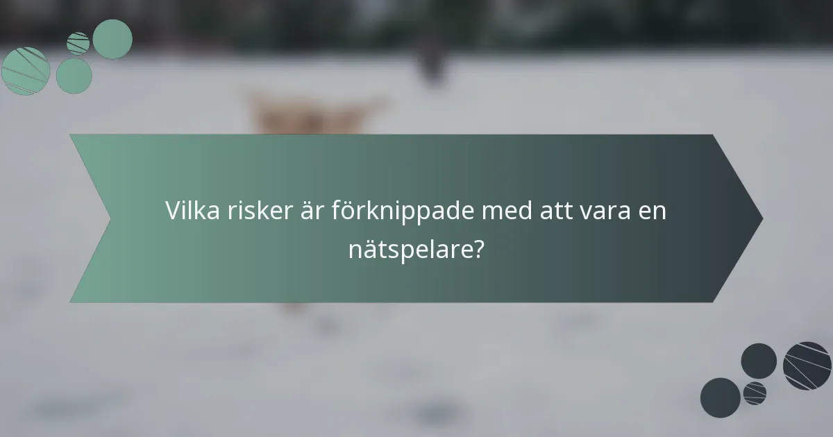 Vilka risker är förknippade med att vara en nätspelare?