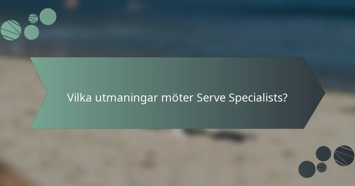Vilka utmaningar möter Serve Specialists?